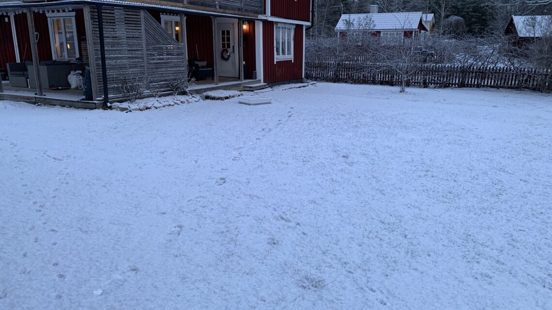 Snö idag ❄️och inte mycket bättre