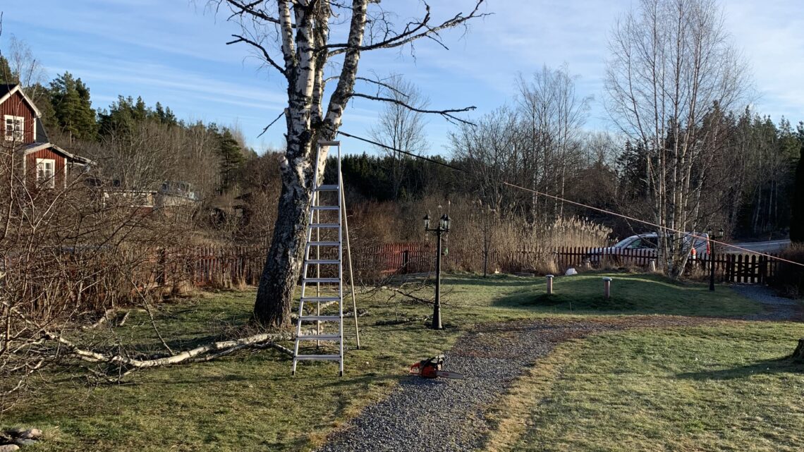 Lördag ☀️